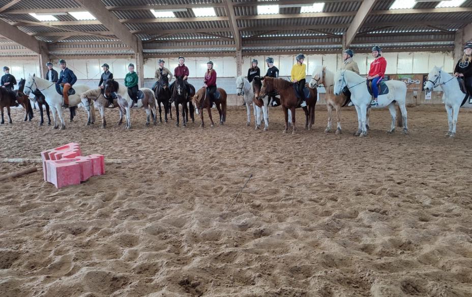 Sortie équitation 