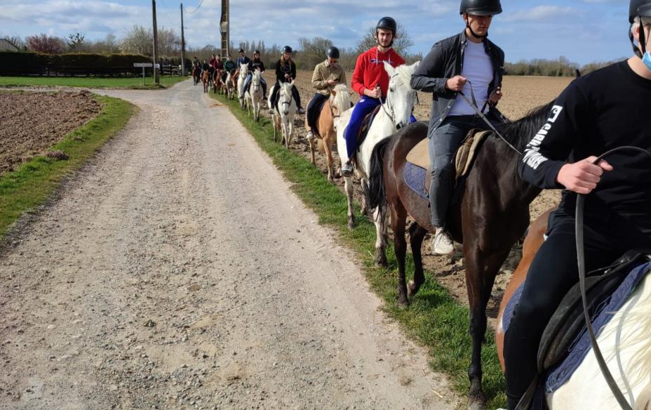 Sortie équitation 